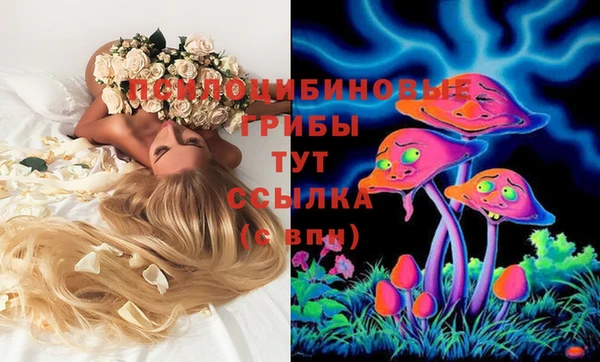 гидра Арсеньев
