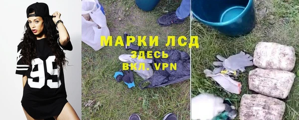 гидра Арсеньев