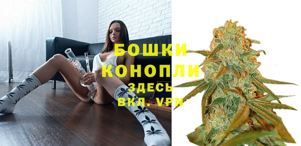 гидра Арсеньев