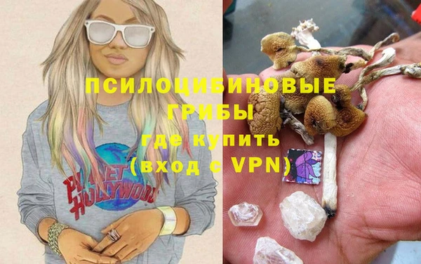 гидра Арсеньев